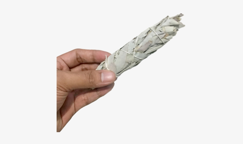 Large White Sage Smudge Stick - Silver, transparent png download