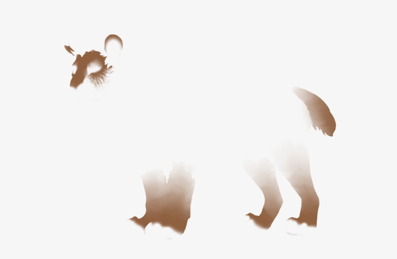 Lion, transparent png download