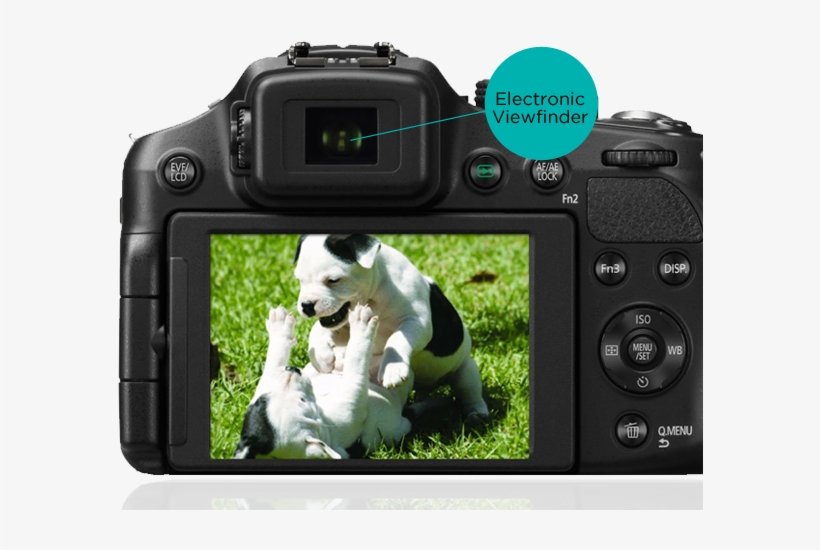 Viewfinder - Nikon Fz200, transparent png download