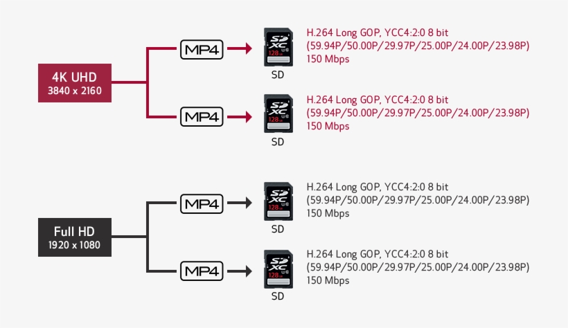 Camera Recording Frame Png - Portable Network Graphics, transparent png download