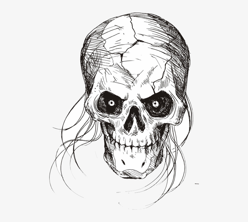 Drawing Black And White Sketch - Skeleton Sketch, transparent png download