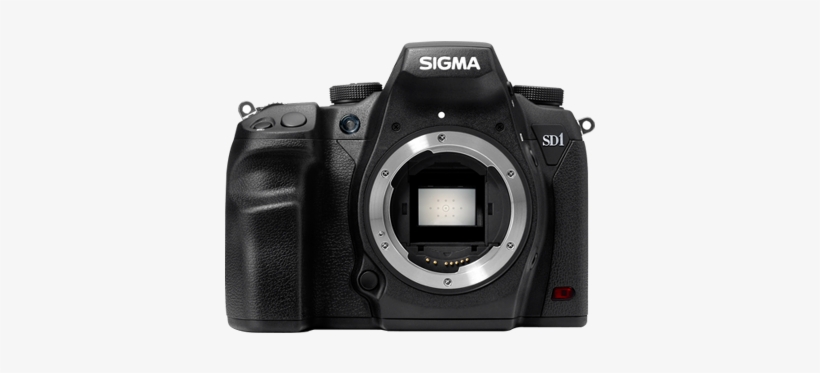 Sd1 Merrill Digital Slr Camera Refurbished Free Lens - Sigma Sd1 Merrill - Digital Camera - Slr, transparent png download