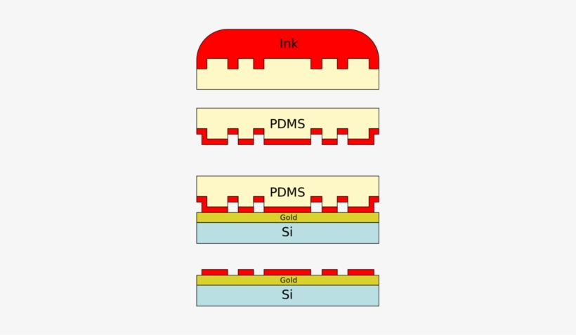 Inking And Stamping Substrate <https - Contact, transparent png download