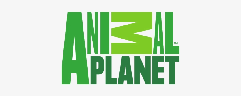 Tbd = Winner Of Complexity Gaming Vs Animal Planet - Animal Planet Tanked Logo, transparent png download