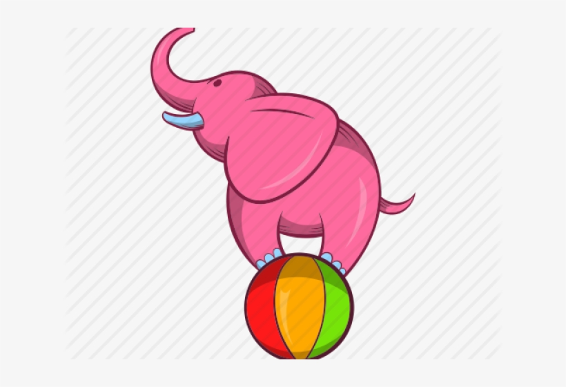 Cartoon Circus Elephant - Elephant On A Ball Clipart, transparent png download