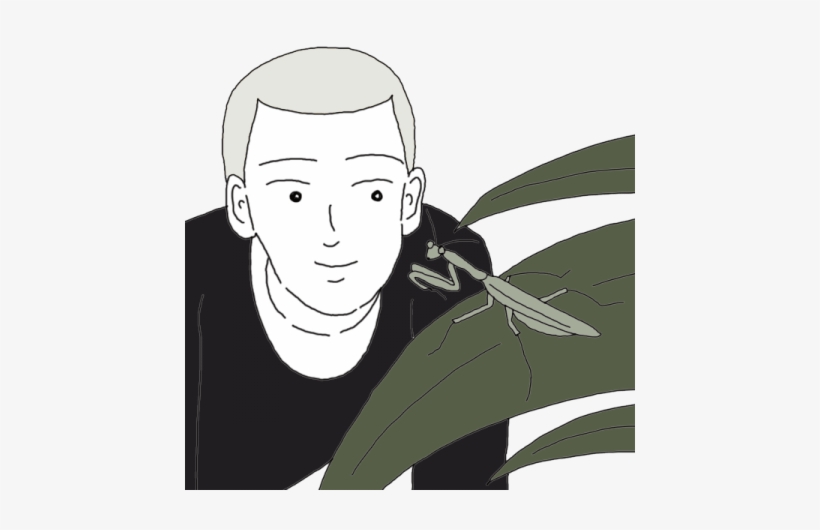 Bald - Thumbnail, transparent png download