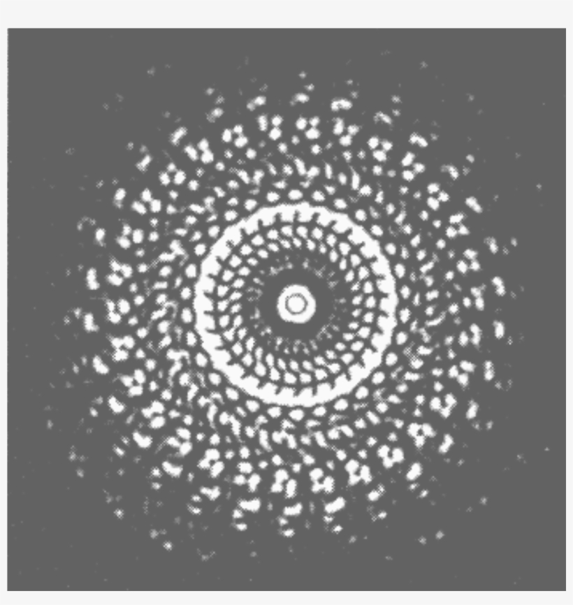 Quasi Rect421 30gon1b - Circle, transparent png download