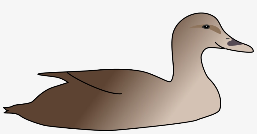 Duck Clipart Png For Web, transparent png download