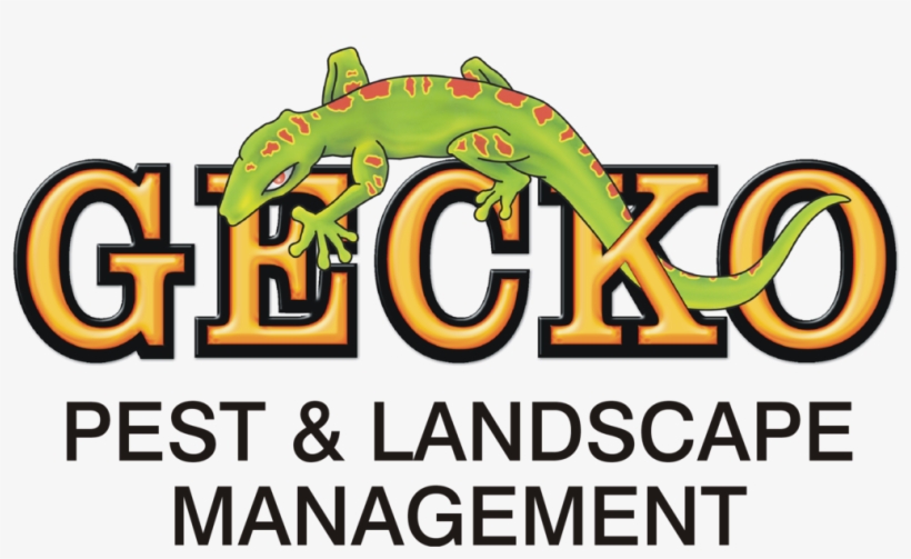 Gecko Pest & Landscape Management - Gecko Pest & Landscape Management, transparent png download