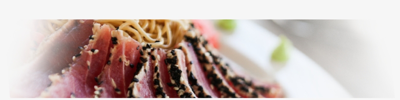 Gecko Club - Shell, transparent png download