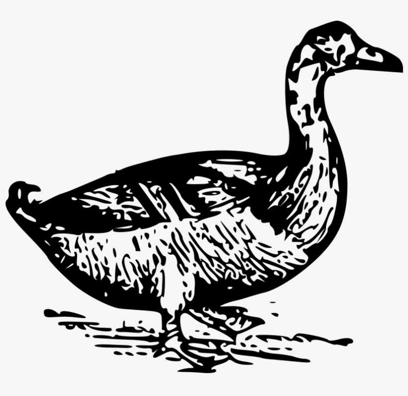 This Free Clipart Png Design Of Duck Clipart, transparent png download