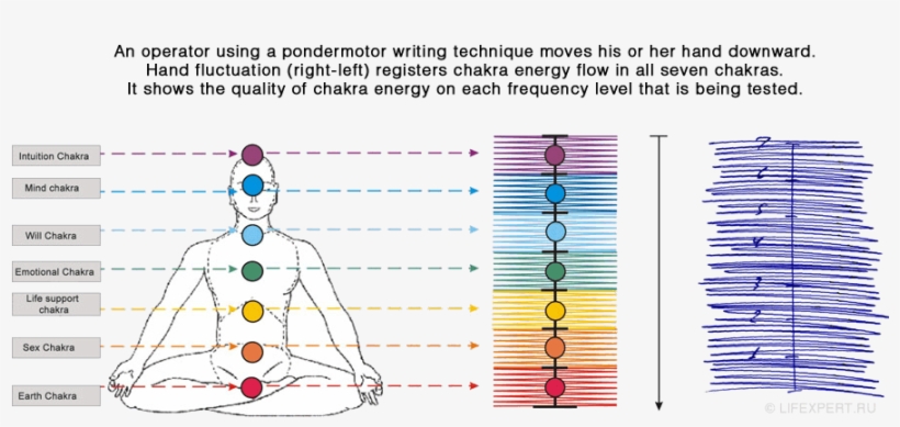 Seven Chakra Test - Чакры Диагностика, transparent png download