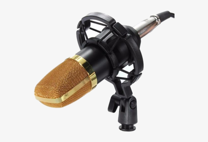 Mcp02 Professional Studio Condenser Microphone With - Microphone, transparent png download