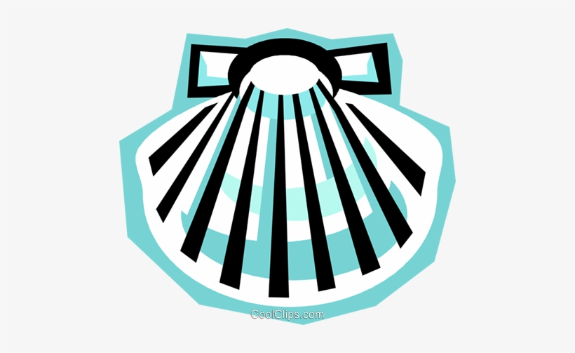 Clam Shell - Circle Transparent PNG - 480x423 - Free Download on NicePNG