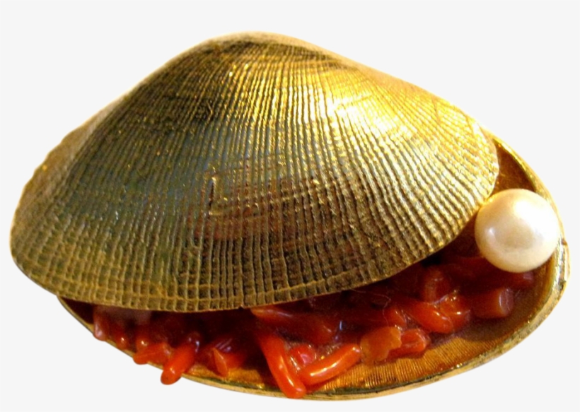 Vintage Signed Coro Gold Tone Clam Shell Pin Brooch - Jewellery, transparent png download