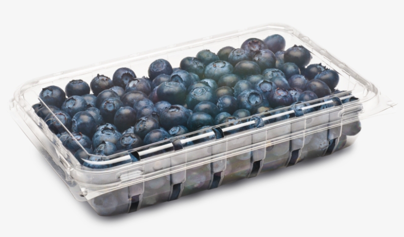 View Our Products - Clamshell, transparent png download