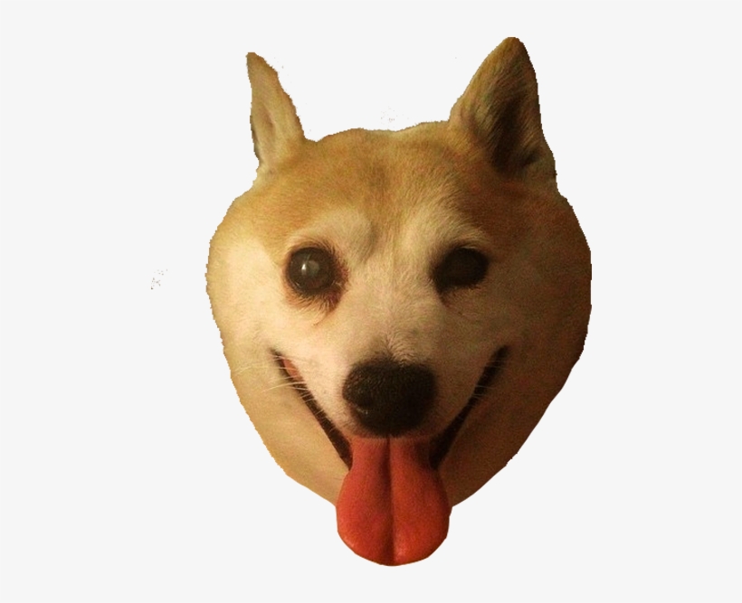 Shiba Dog's Head Messages Sticker-7 - Dog, transparent png download