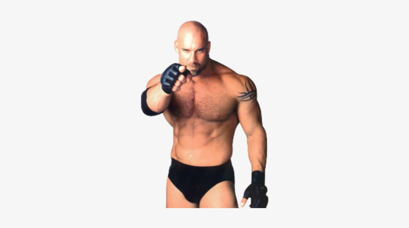 Goldberg-psd31421 - Bill Goldberg Wwe Who's Next Signed Autographed 8x10, transparent png download