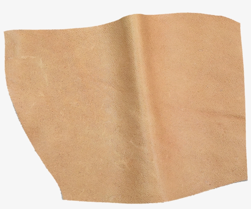 Shera Zed - Suede, transparent png download