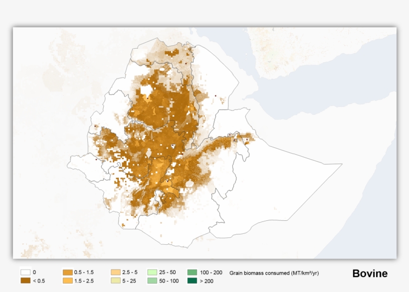 Grain B Eth - Atlas, transparent png download