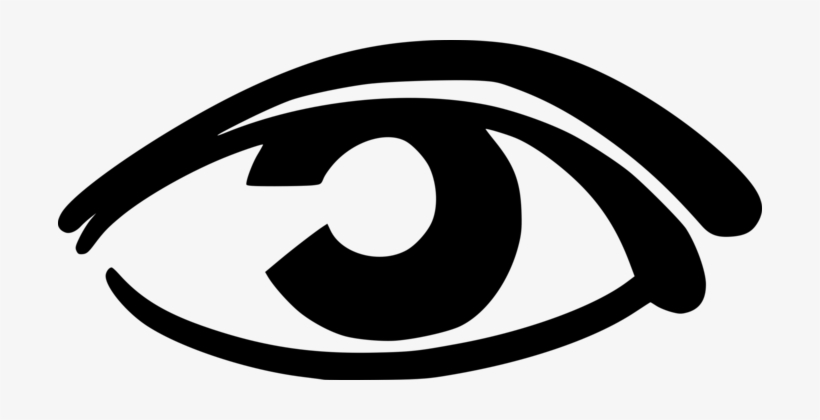 Eyelash Simple Eye In Invertebrates Eyebrow Organ - Eye, transparent png download