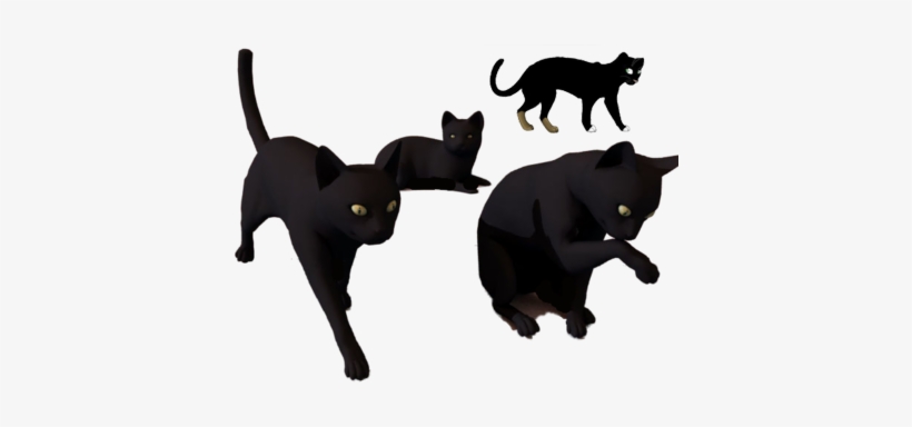 Halloween Cat Png Download - Black Cats, transparent png download