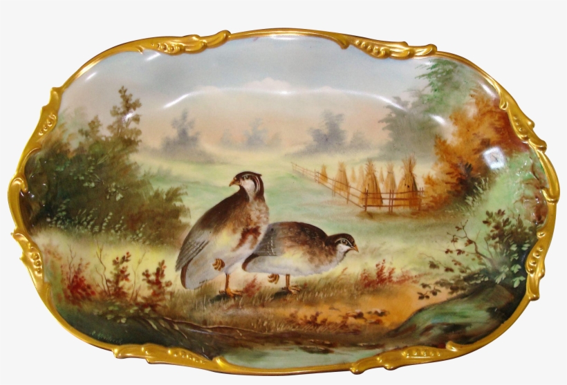 Heidrich Signed E - Teacup, transparent png download