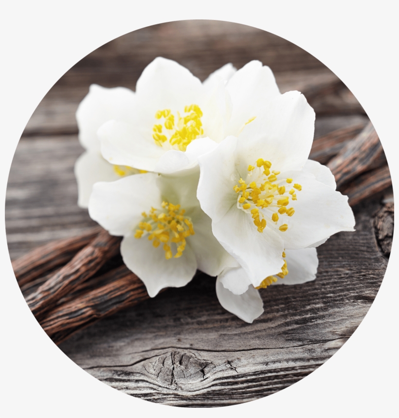 Nourishing Foot Butter Vanilla & Jasmine - Vanilla, transparent png download