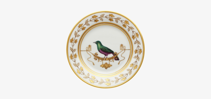00 Richard Ginori Vliere Merl Vert Dinner Plate - Richard Ginori Impero Voliere Tea Cup Breve, transparent png download
