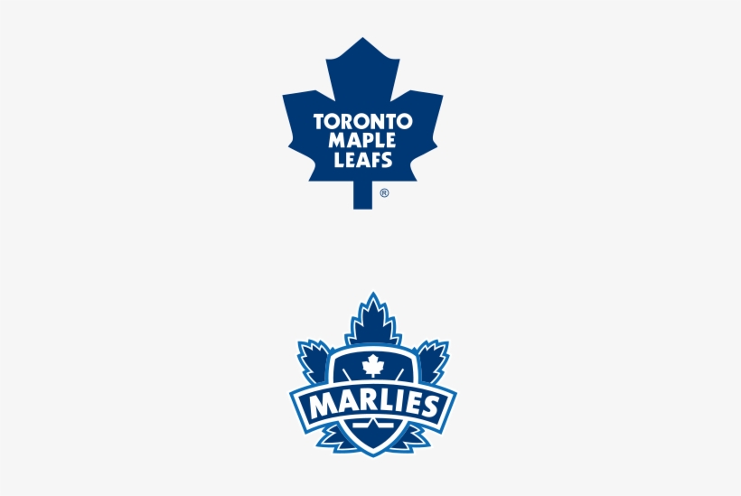 Jonas Gustavsson - Toronto Maple Leafs, transparent png download