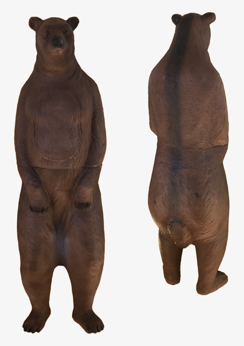 American Black Bear, transparent png download