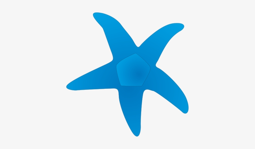 Blue Drawing Panda Free Images Bluestarfishdrawing - Seastar Vector, transparent png download