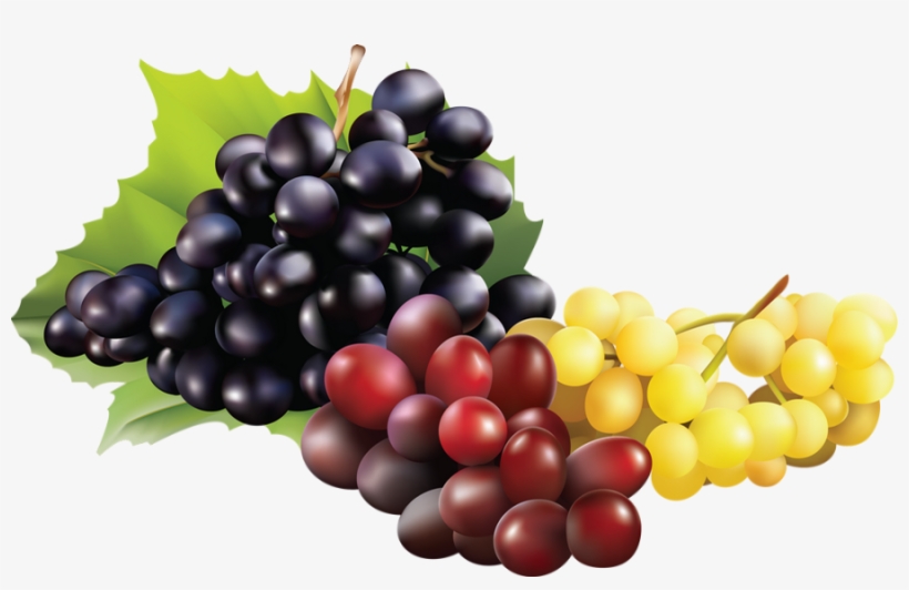 Fruit De Raisin Png, transparent png download