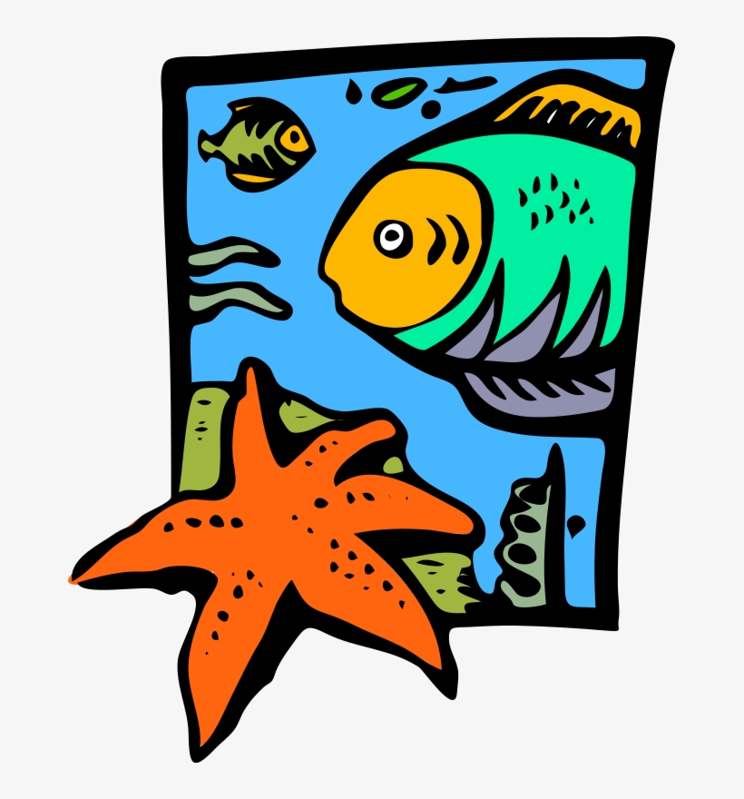 Starfish Clip Art Download - Marine Life Clipart, transparent png download
