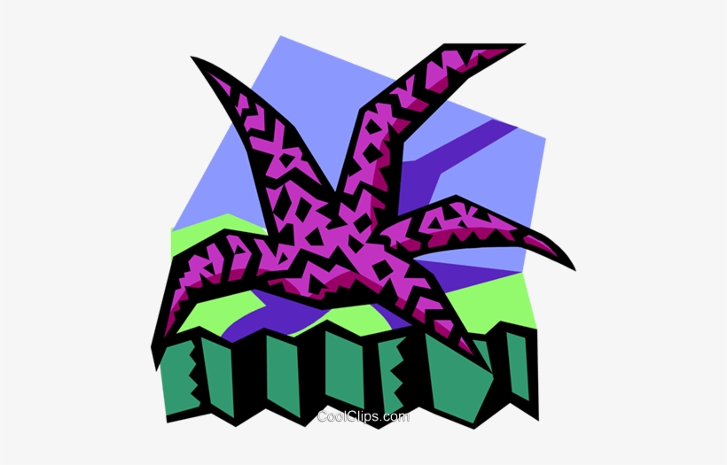 Stylized Starfish Royalty Free Vector Clip Art Illustration, transparent png download