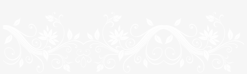 White Floral Png - Orange Colour Flowres Background Hd, transparent png download