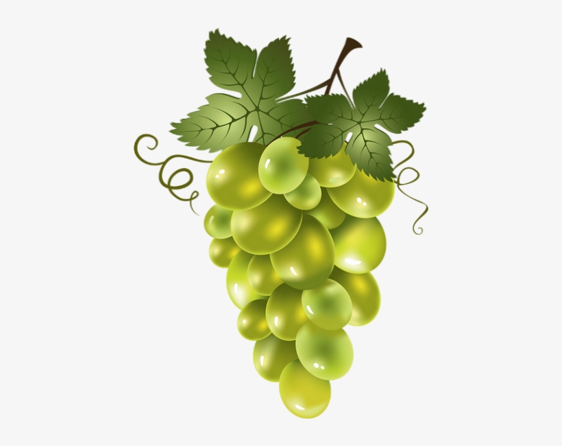 Raisin Blanc Png - Frutas Png, transparent png download