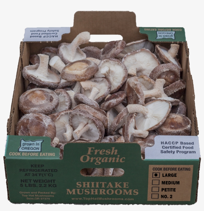 Great For Grilling Or Bbq, Roasting, Stuffing, Or Braised - Shiitake, transparent png download