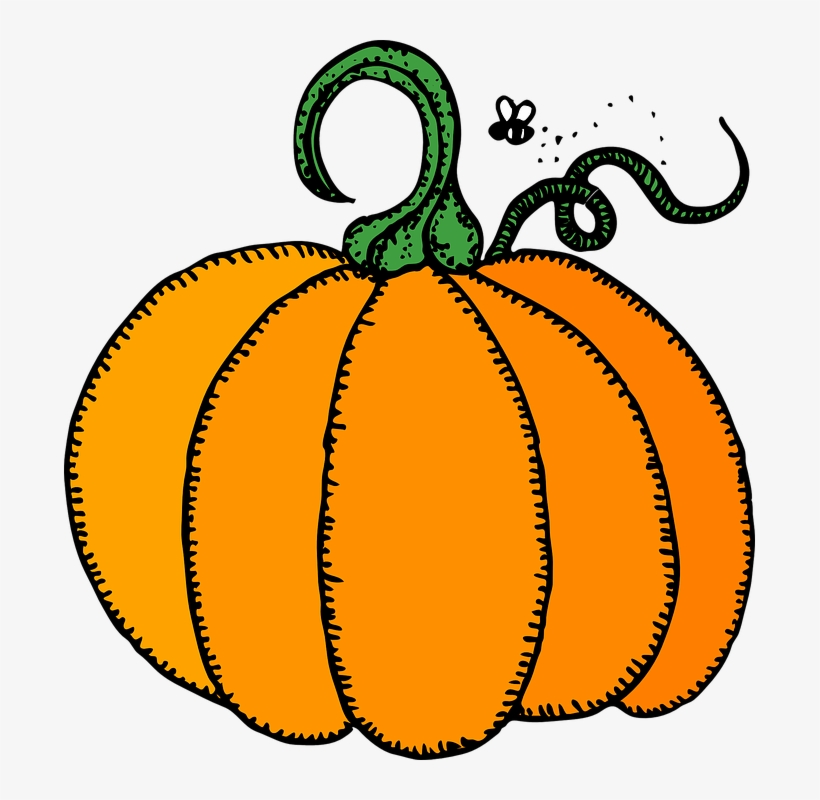Pumpkin Winter Squash Fruits - Pumpkin Clipart, transparent png download