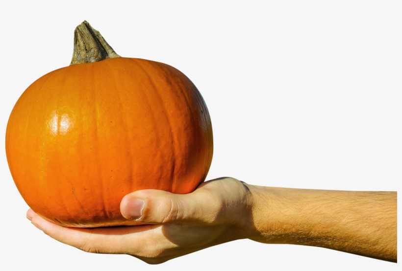 Hand Holding Orange Pumpkin Png Image - Hand Holding A Pumpkin, transparent png download