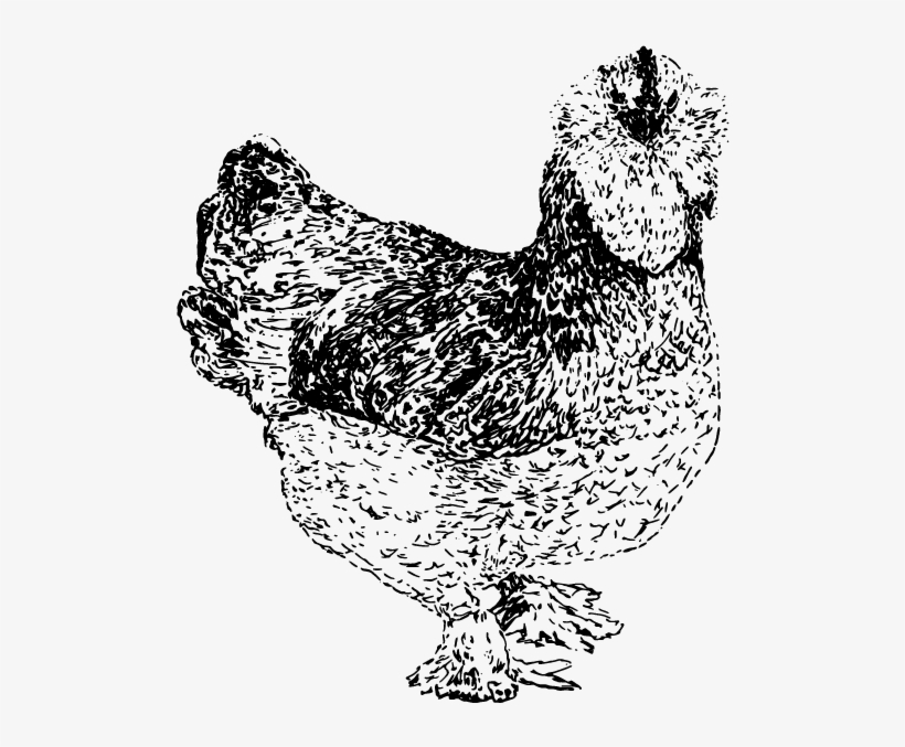 Keep In Touch - Rooster, transparent png download