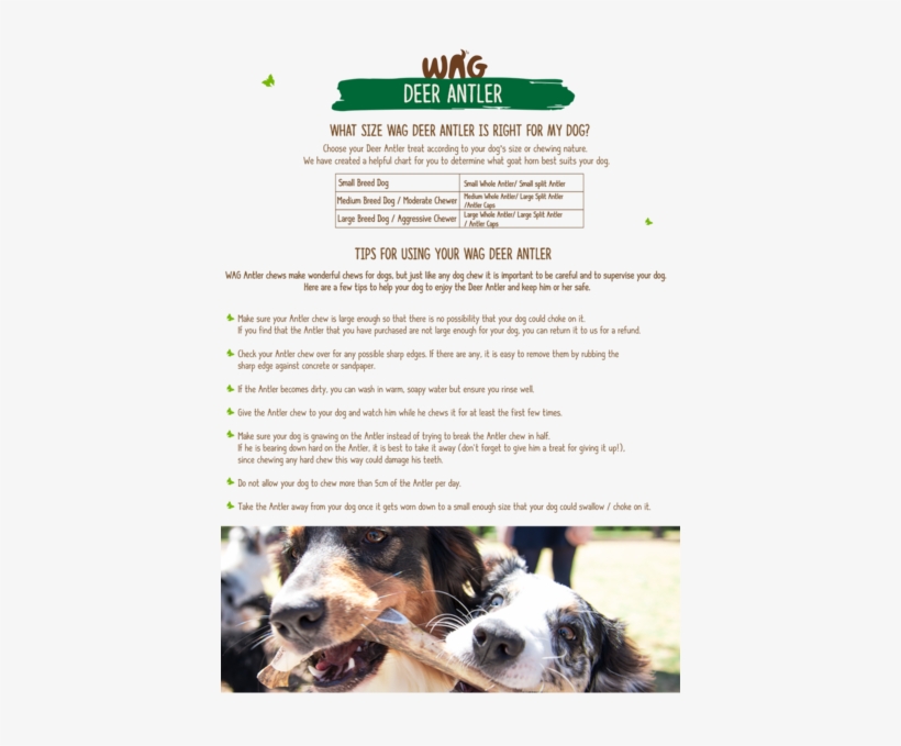 Wag Whole Antler - Dog, transparent png download
