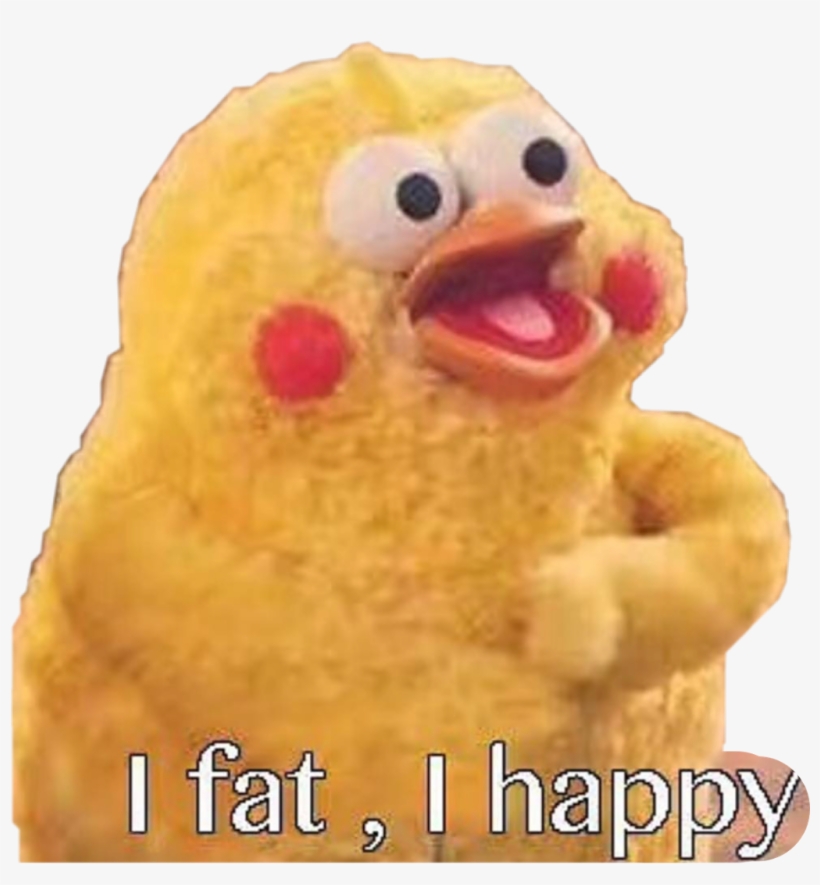 給 我 十 塊 錢 鸚鵡 兄弟, transparent png download