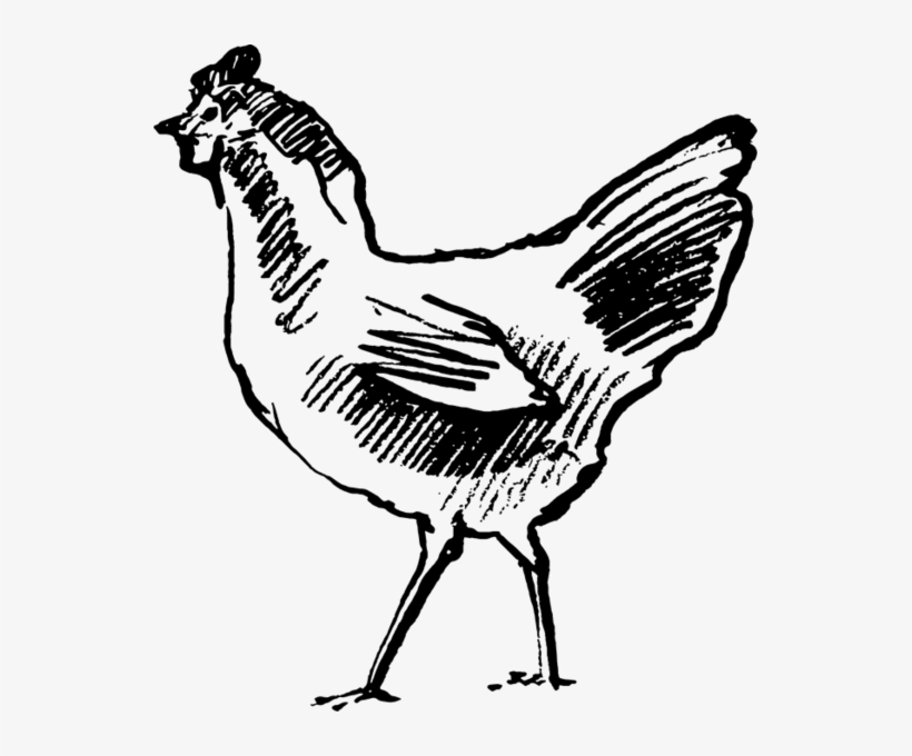 Chicken Stamps Stamptopia Strutting Rubber Stamp - Chicken, transparent png download