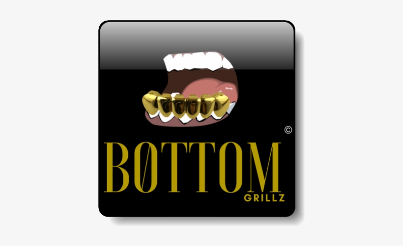 Bottom Grillz - 24k Gold Plated Grillz Top & Bottom Fangs + 2 Extra, transparent png download