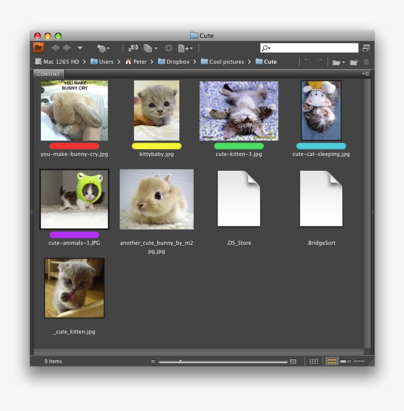 In Addition To Star Ratings, Each Photo Can Be Tagged - 19 Note Cards (pk Of 20), transparent png download