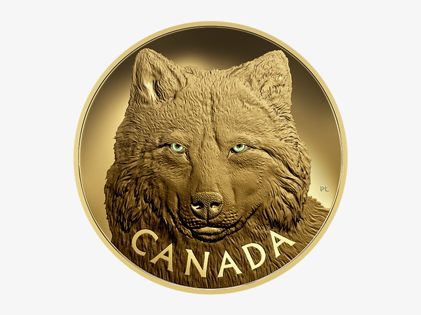 Pure Gold One-kilogram Coin In The Eyes Of The Timber - 2017 Fine Silver 250 Dollar Kilo Coin -, transparent png download