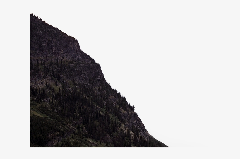 Ivory, transparent png download