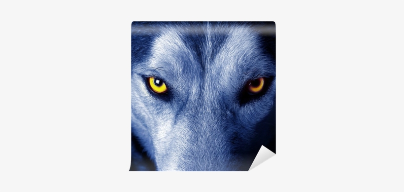 Iphone 6 Plus/6s Plus (5.5 Inch)case Wolf,apple Iphone, transparent png download