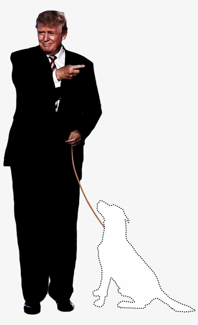 Ronald Reagan Had Rex, A Cavalier King Charles Spaniel - Tuxedo, transparent png download
